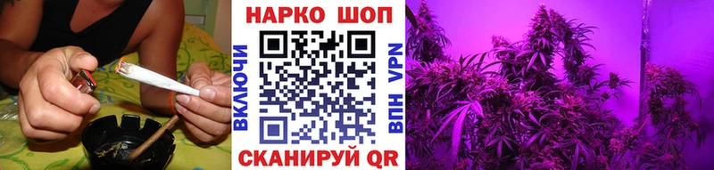 Купить закладку Псилоцибиновые грибы  Cocaine  ГАШ  Мефедрон  Канабис  A-PVP  Вытегра