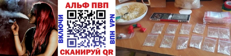Альфа ПВП СК КРИС Вытегра